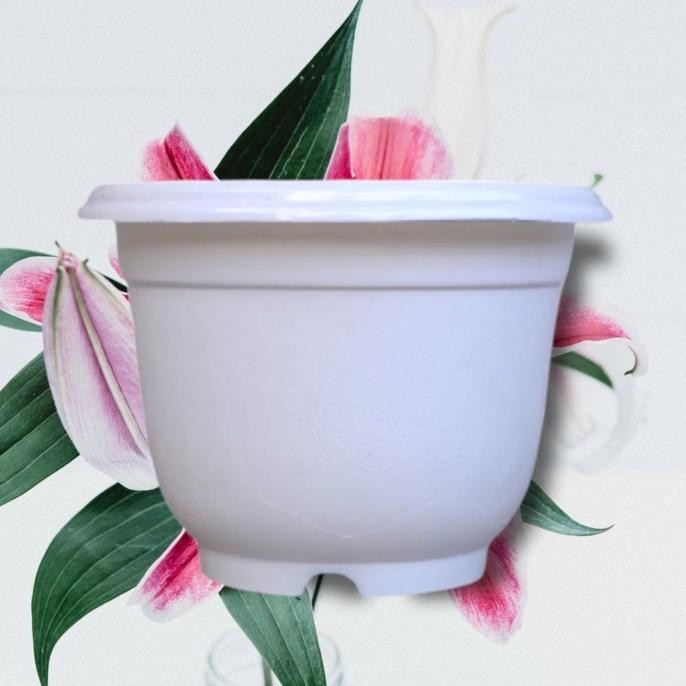 Pot Bunga Putih 20cm | Pot Plastik Putih 20cm | Pot Tanaman Kecil