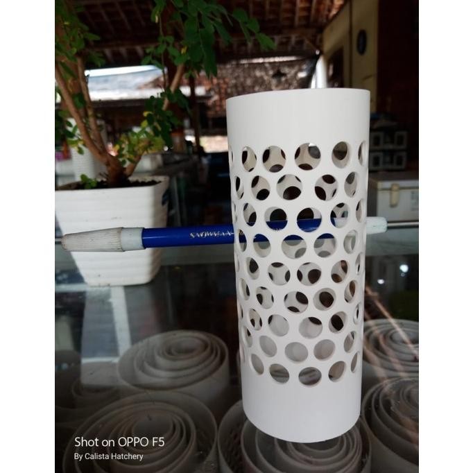 Promo Termurah Paralon Filter Kolam 2Inch Lubang 10Mm Panjang 50Cm Untuk Ikan Hias Koi Arwana Lele N