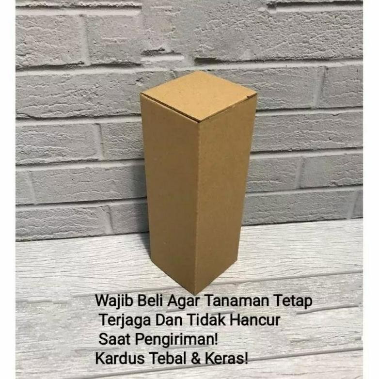 

Ter-46 Packing Tambahan - Kardus Tebal & Kuat - Tambahan Packing Termurah