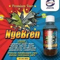 Rd-67 Ngebren Ebod Jaya Voer Pakan Makanan Burung Pleci Ciblek Murai Kacer Cucak Prenjak Bikin Gacor