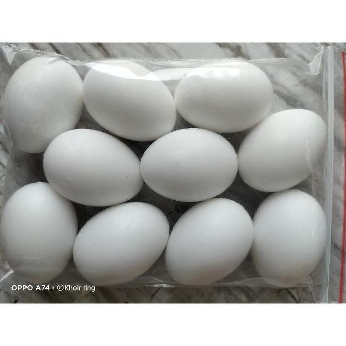 

Terlaris 10 Pcs Telor Simulasi Merpati Telor Imitasi Merpati Ayam Kate Isi Padat I Sangkar Harian