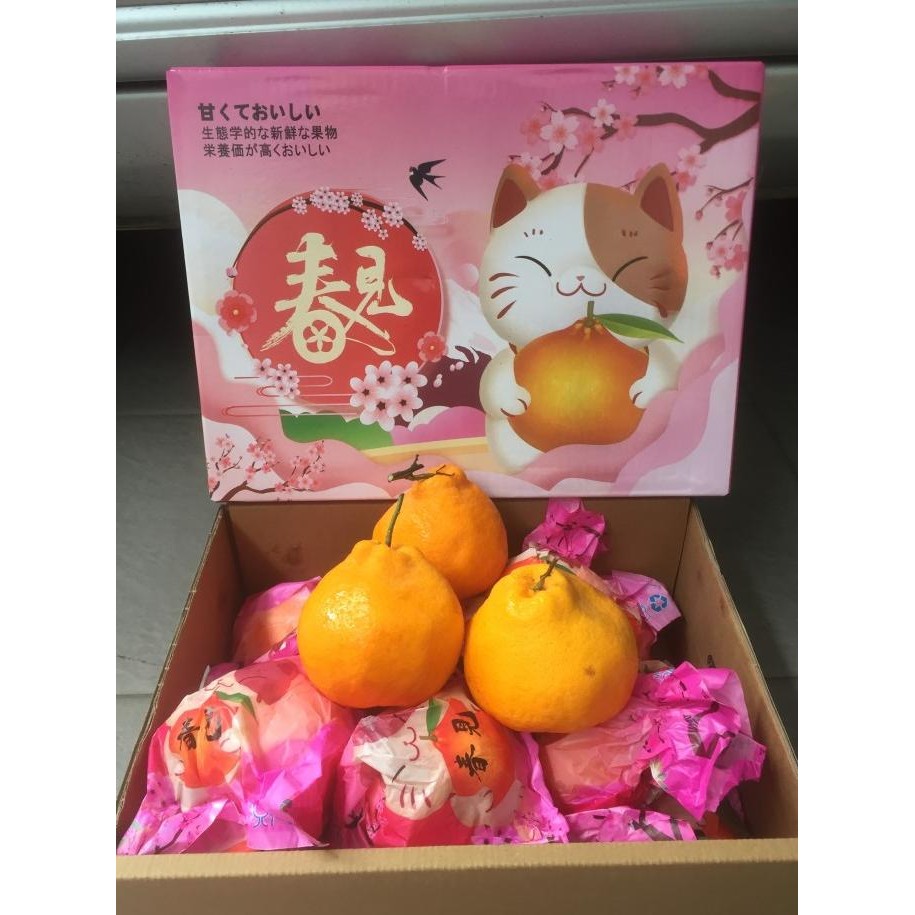 

Jeruk Dekopon 1 Dus (4.5 Kg) Fresh Import