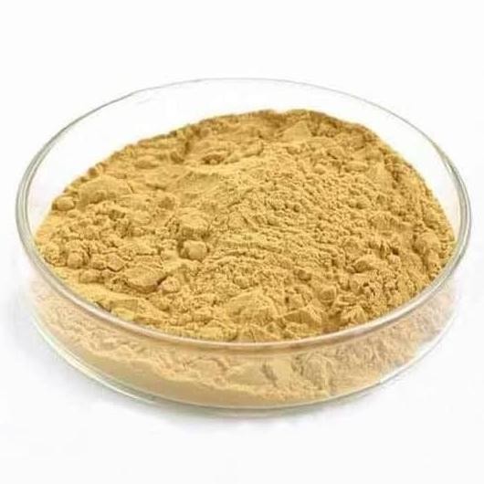 

Terbaru Beef Extract Powder 1kg/Pure Beef Stock/Kaldu Sapi Bubuk 1kg HALAL