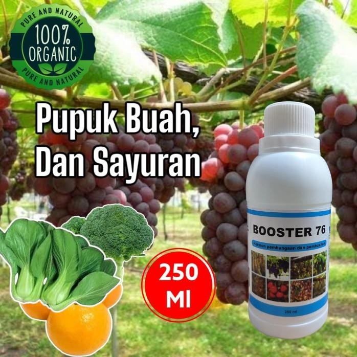 

Terlaris Pupuk Booster 76 Pupuk Organik Untuk Pelebat Tanaman Buah