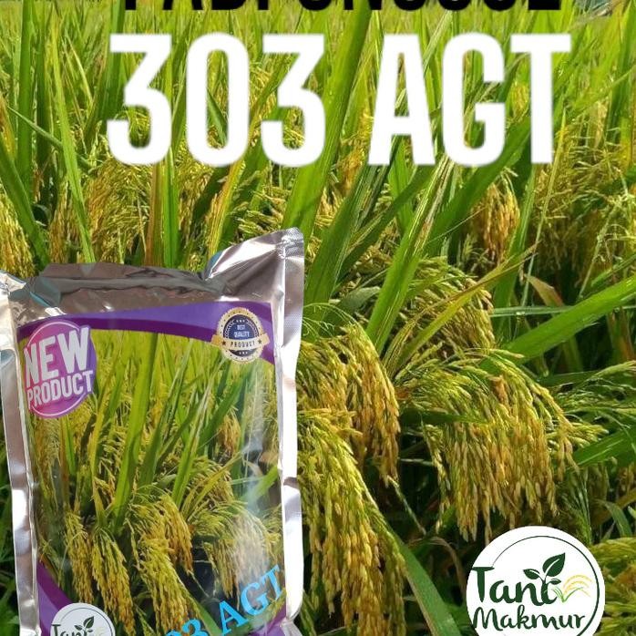 

Terlaris Benih Padi 303 Agt Kemasan 1Kg Original