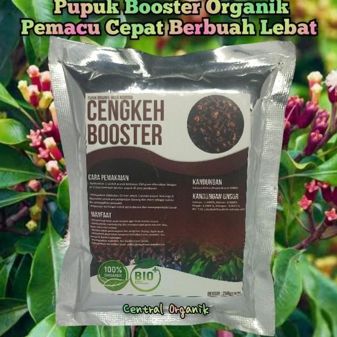 

Terlaris Pupuk Cengkeh Cepat Berbuah Lebat Pupuk Booster Cengkeh Organik