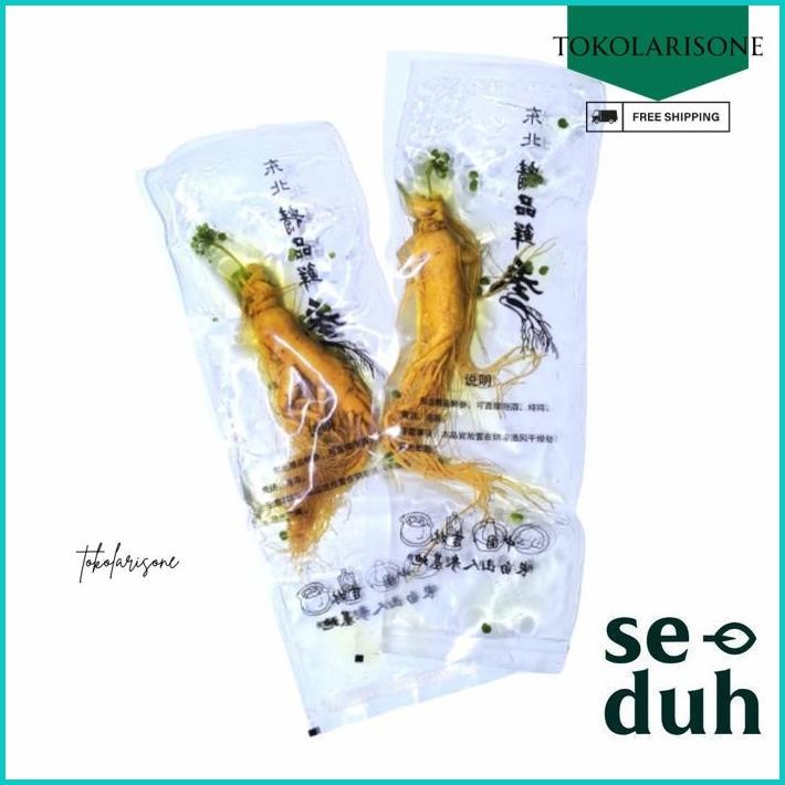

GINSENG SEGAR UKURAN BESAR 200 GRAM / FRESH GINSENG ROOT VACUUM PACK