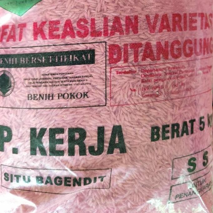 

Terlaris Benih Padi Unggul Situ Bagendit Pp Kerja Kemasan 5Kg
