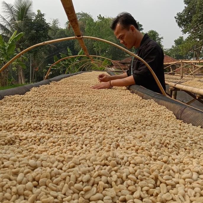 

ready stock Green Bean / Biji kopi Arabika Tanah Karo Semiwash / arabica wethull