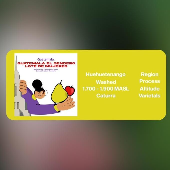 

ready stock Biji Kopi Manual Brew Arabika - Guatemala El Sendero Lote de Mujeres - 200 Gr