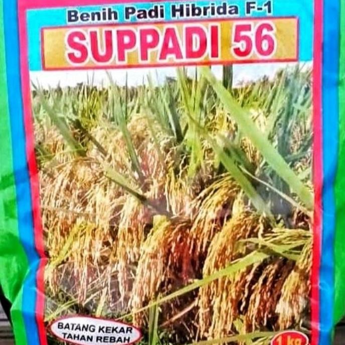 

Terlaris Suppadi 56 F1 1 Kg Benih Padi Hybrida