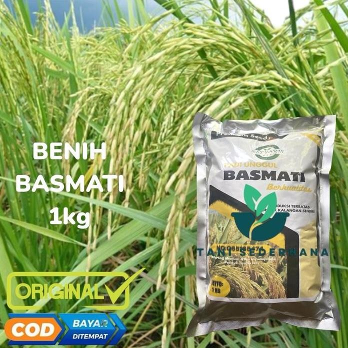 

Terlaris Benih Padi Basmati 75 Hst