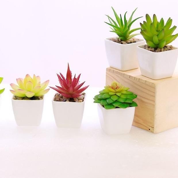 Kaktus Mini Aesthetic / Tanaman Hiasan / Aneka Macam Kaktus / Tanaman Hiasan Plastik / Vas