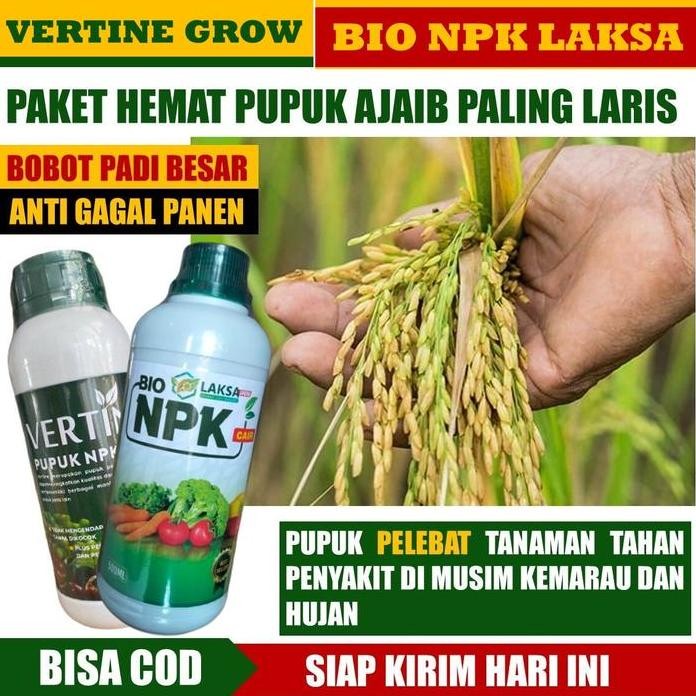 

Terlaris Paket Pupuk Murah 1 Botol Vertine Grow 1 Botol Npk Laksa Grow Padi Kalsium Padi & Vitamin Padi Hasil Panen Padi Maksimal, Melebatkan & Memperbanyak Buah Padi, Memperbanyak Padi Tanpa Rontok 100% Menambah Hasil Panen Padi Terbaik