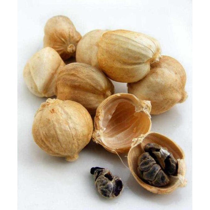 

{{{{}}] Kapulaga lokal 500gram / Cardamom White / Cardamon White