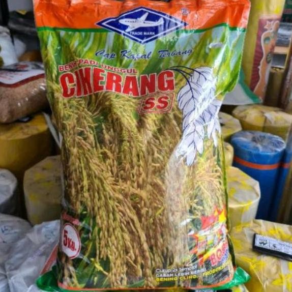 

Terlaris Benih Padi Ciherang Kapal Terbang Reapack 1Kg