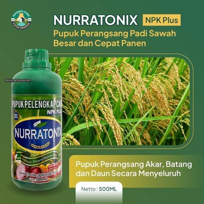 

Terlaris Pupuk Ampuh Perbanyak Anakan Padi Nurratonix 500Ml Pupuk Npk Cair Penyubur Akar Daun Batang Bunga Dan Buah Padi Panen Melimpah Lebih Banyak Dan Besar Berbobot Serta Meningkatkan Imunitas Daya Tahan Penyakit Hama Padi, Obat Memperbanyak Anakan