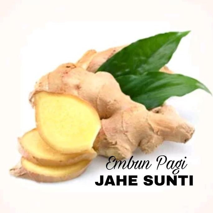 

Terlaris Bibit Jahe Sunti Jahe Terpedas Dibanding Jahe Lainnya