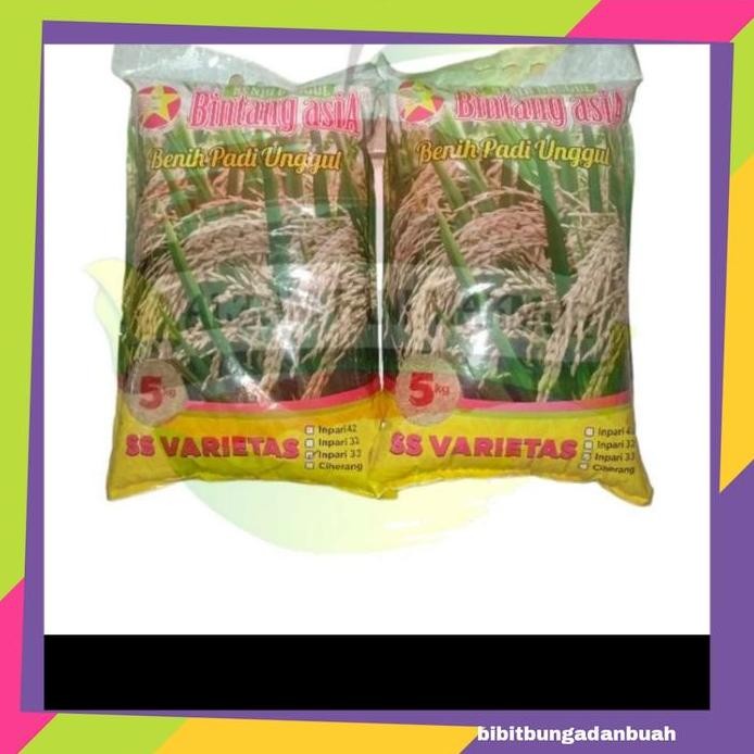 

Terlaris Benih Padi Inpari 33 Isi 5 Kg Bintang Asia