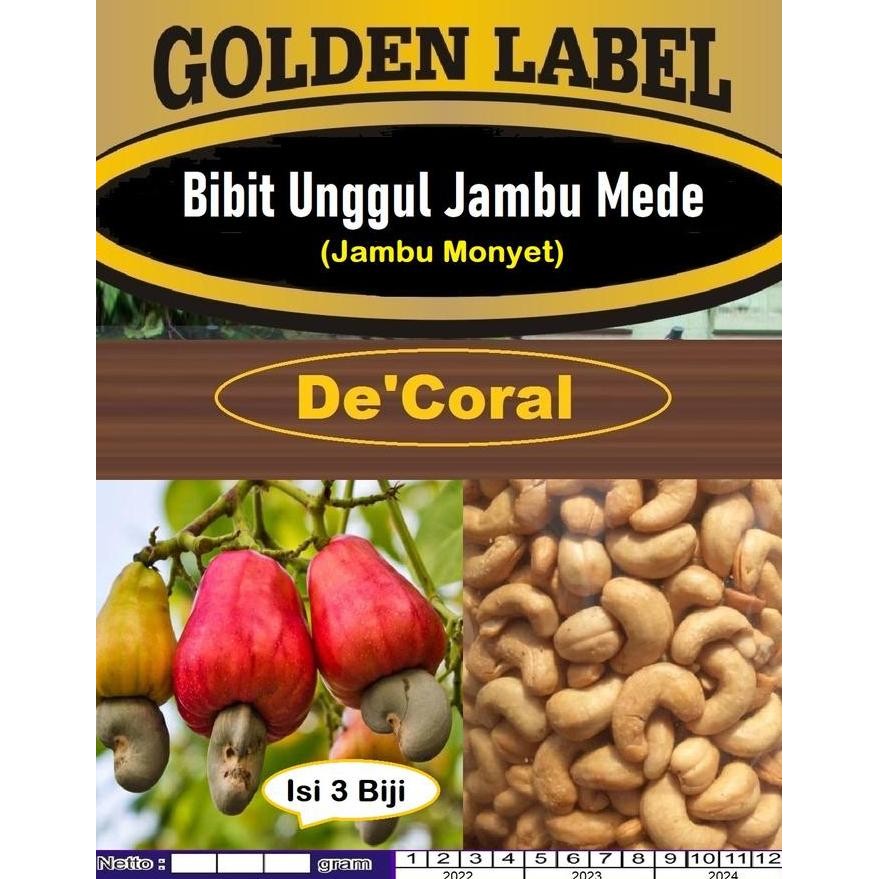 

Terlaris Bibit Unggul Jambu Mede|Jambu Monyet|Benih Jambu Mete|Kacang Mede