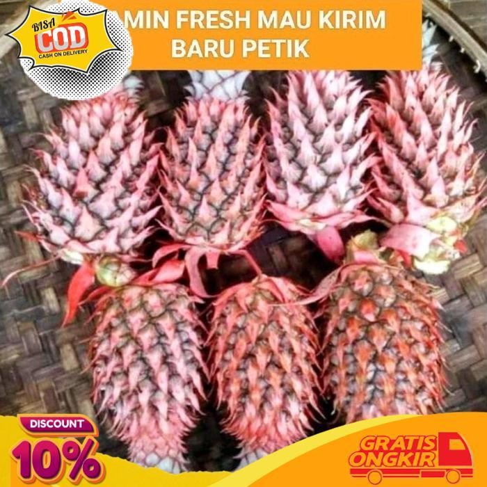 

Promo Nanas Muda Isi 5