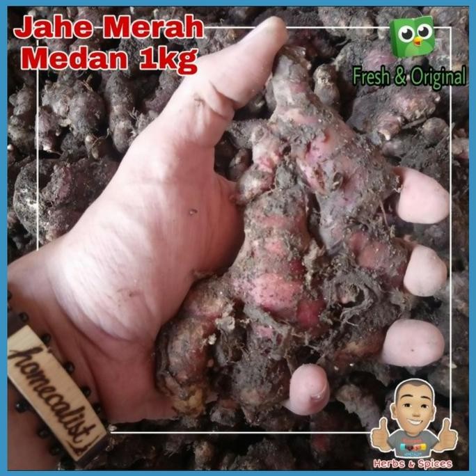 

jahe merah medan segar 1kg Kualitas Bagus