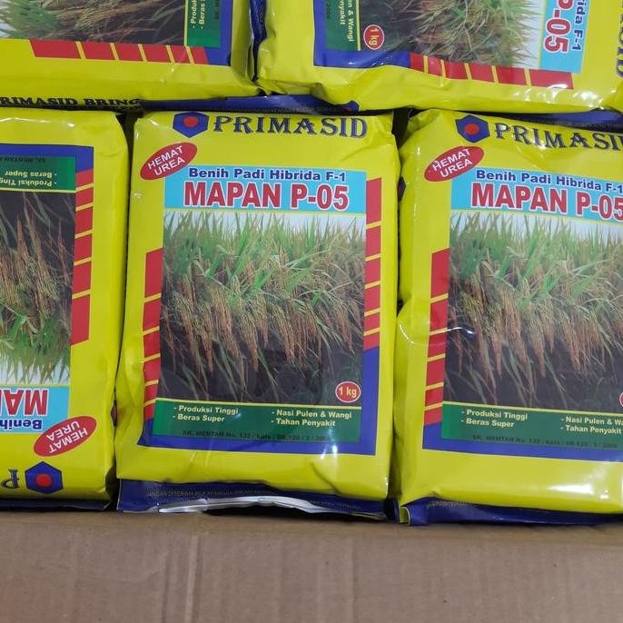 

Terlaris Benih Padi Mapan 05 Hibrida Hemat Urea