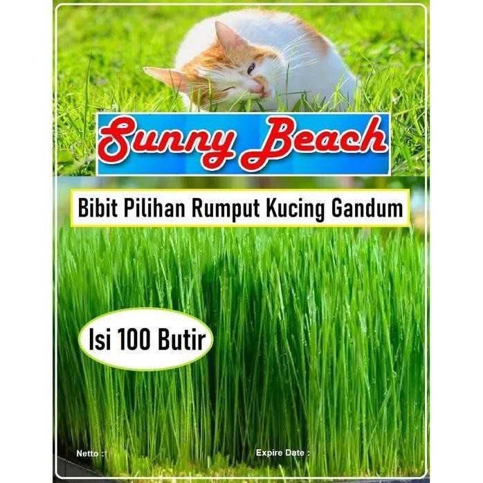 

Terlaris Bibit Pilihan Rumput Kucing Gandum | Biji Benih Rumput Kucing |Benih Rumput Gandum