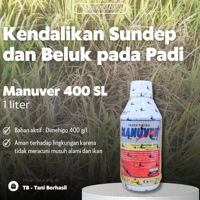 

Terlaris Insektisida Manuver 400 Sl 1 Liter, Kendalikan Sundep Dan Beluk Padi