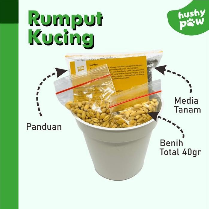 

Terlaris Rumput Gandum Benih Gandum Wheat Grass Cat Grass Paket Lengkap