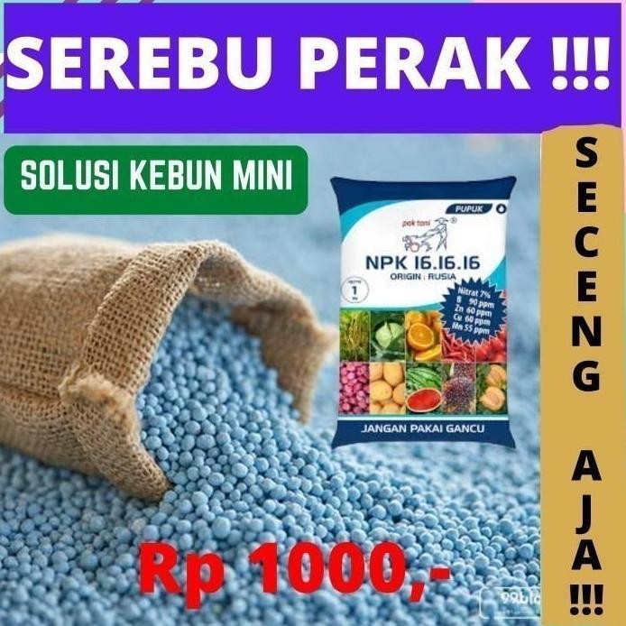 

Terlaris Pupuk Npk Mutiara 16-16-16 Untuk Pertumbuhan Bunga Buah Sayuran 30 Grm