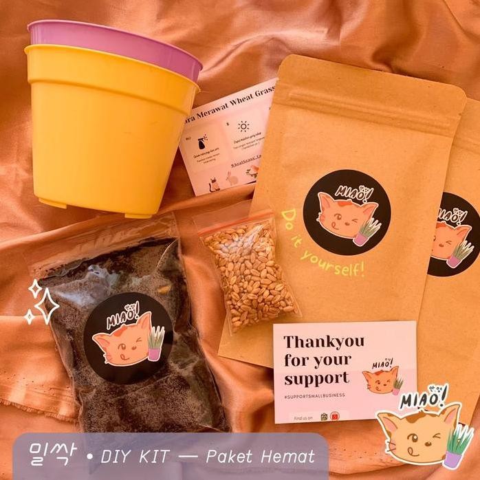 

Terlaris Paket Diy Pot Benih Media Tanam Wheatgrass / Rumput Gandum / Cat Grass