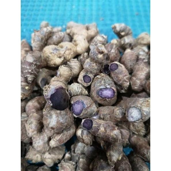 

Terlaris Bibit Tanaman Kunyit Hitam Temu Ireng Vcbvgo 6962Yk