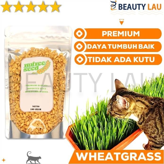 

Terlaris Benih Rumput Gandum Untuk Kucing 100Gr Bibit Cat Grass Microgreen Seed