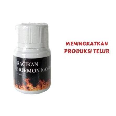 Hormon Kawin Ayam peung ERNOV