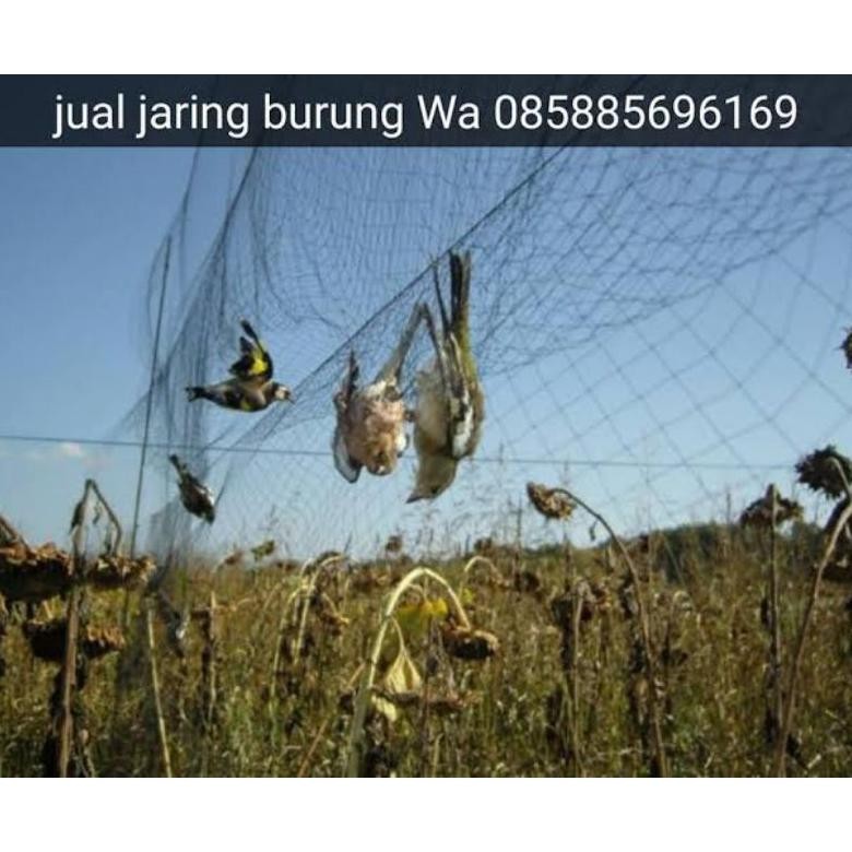 jaring perangkap burung lubang 2inc 2.5meter x 90meter warna hitam