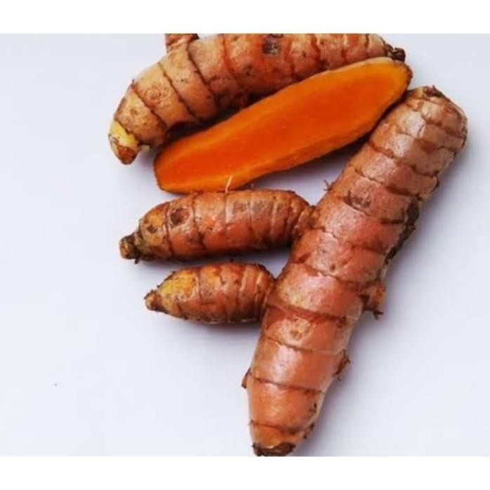 

Terlaris Promo Bibit Kunyit Kuning (Buat Masak)Beli 5 Gratis 1