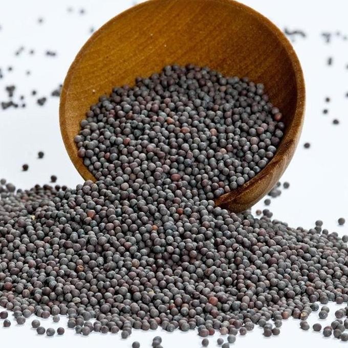 

:=:=:=:=] Black Mustard Seeds 1kg / biji sawi hitam