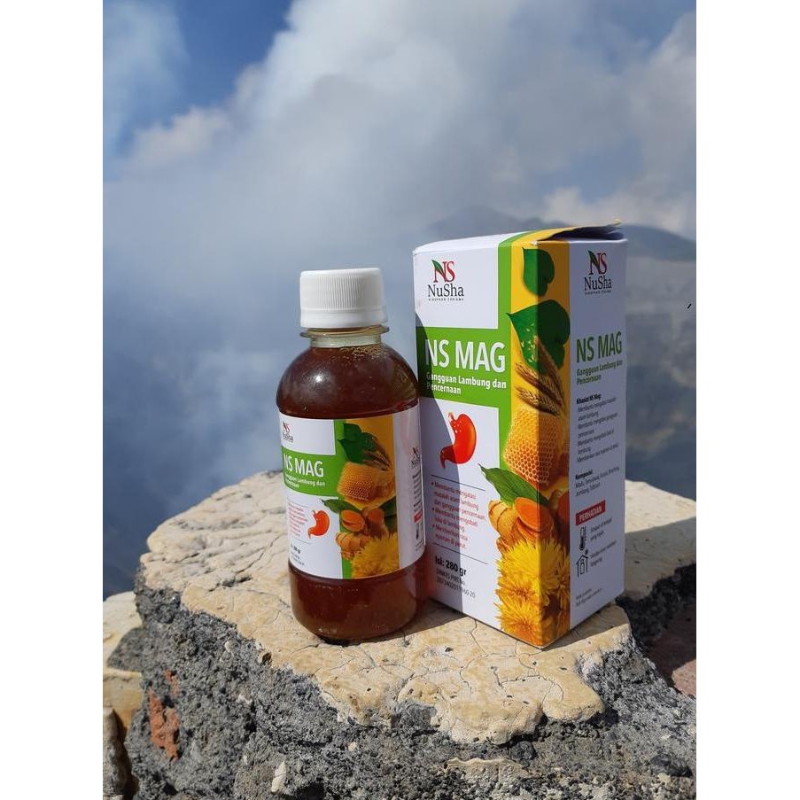 

BARU MADU LAMBUNG NS MAG ISI 280 GR