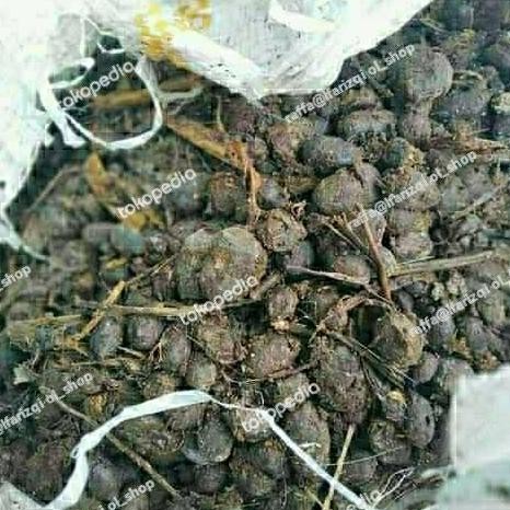

Terlaris Pupuk Kandang Kambing Original Kemasan 1.Kg