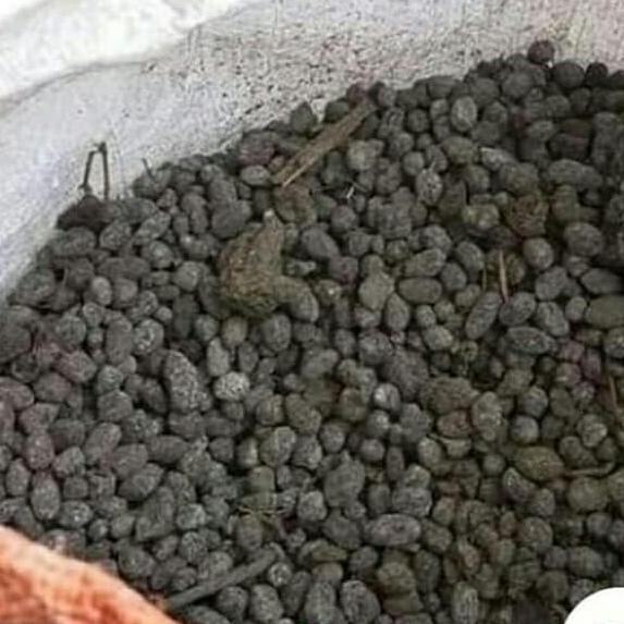 

Terlaris Media Tanaman Pupuk Kandang Tai Kambing Murni