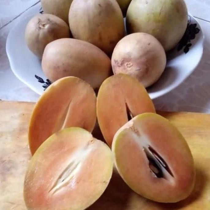 

BARU BUAH SAWO MADU 1 KG / SAWO MADU FRESH
