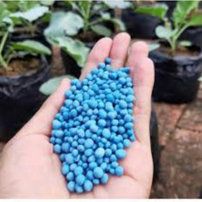 

Terlaris Npk Mutiara 16 16 16 1Kg