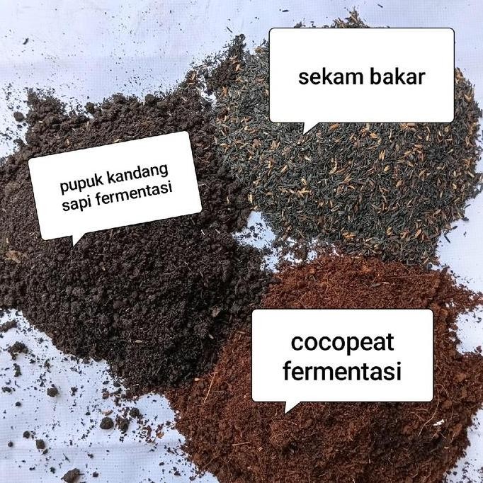 

Terlaris Media Tanam Campur Dari Sekam Bakar + Cocopeat Fermentasi+ Pupuk Kandang Sapi Fermentasi