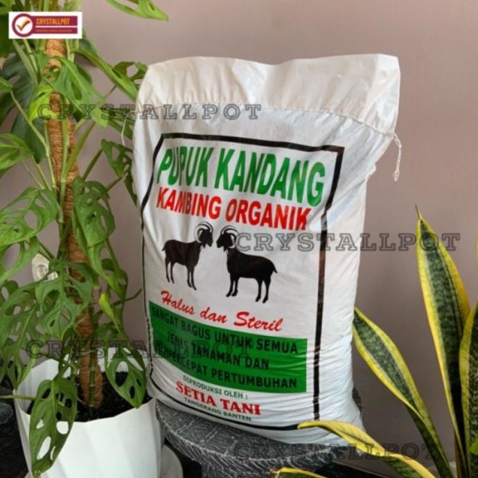 

Terlaris Pupuk Kandang Kambing Organik Halus Dan Steril Mempercepat Pertumbuhan