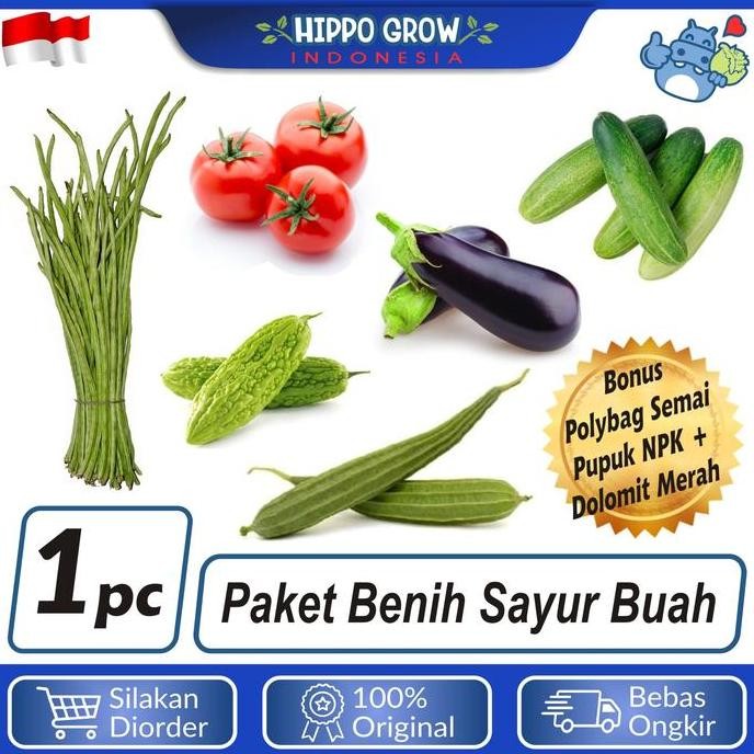 

Terlaris Paket Sayur Buah Bibit Tanaman Bonus Polybag Dan Npk