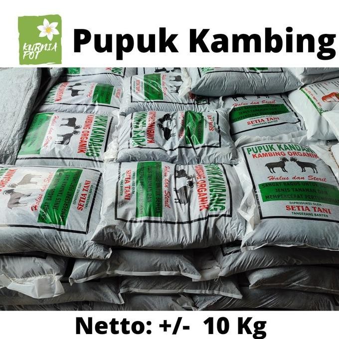 

Terlaris Wlcme! Pupuk Kandang Kambing Halus Murni Media Tanam Organik Nutrisi Tanaman