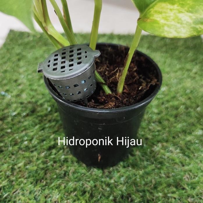 

Terlaris Keranjang Pupuk, Wadah Pupuk Npk Kno3 Osmocote Dekastar Dll