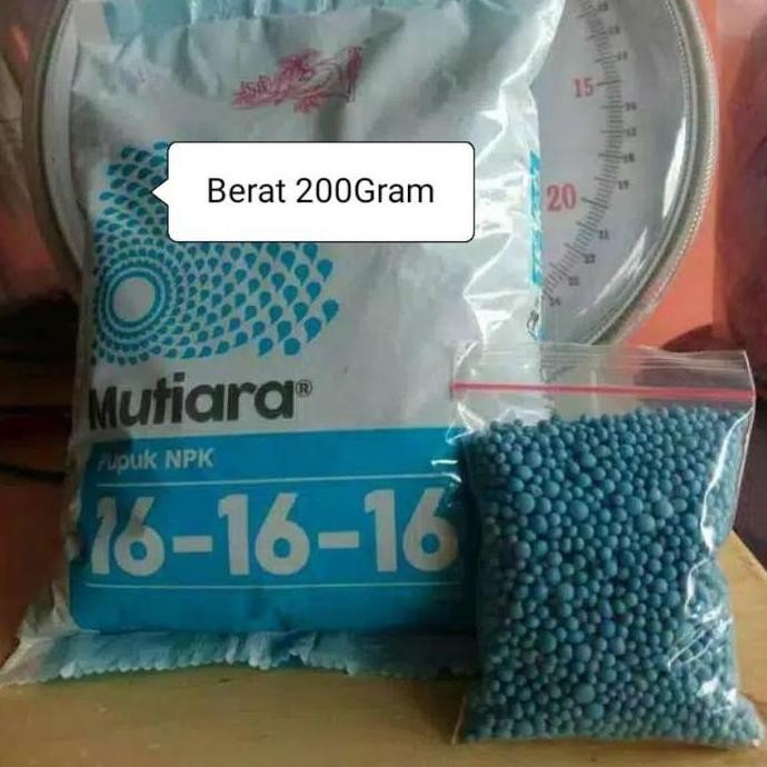 

Terlaris Pupuk Npk 200 Gr