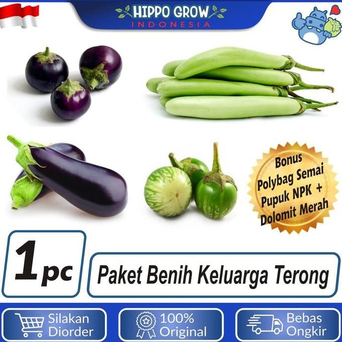 

Terlaris Paket Sayur Keluarga Terong Bibit Tanaman Bonus Polybag Dan Npk